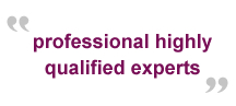 Professional Highly Qualified Experts